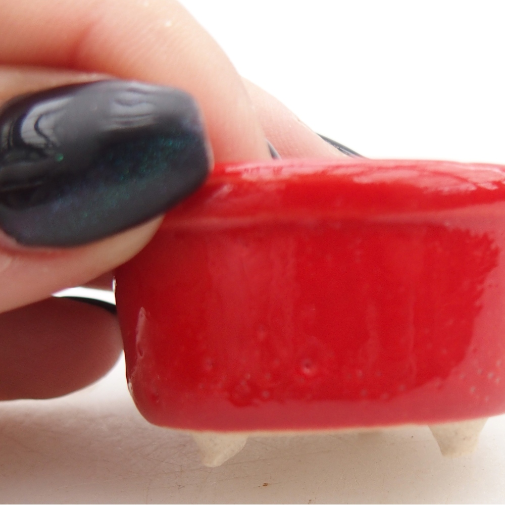 Mini bonsai bowl 4 x 4 x 2,5 cm, colour red