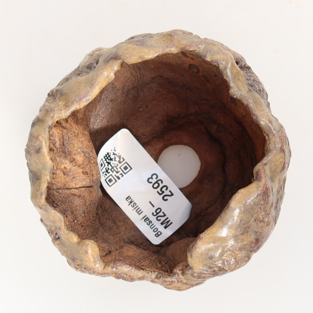 Ceramic Shell, 7.5 x 7.5 x 5.5 cm, brown