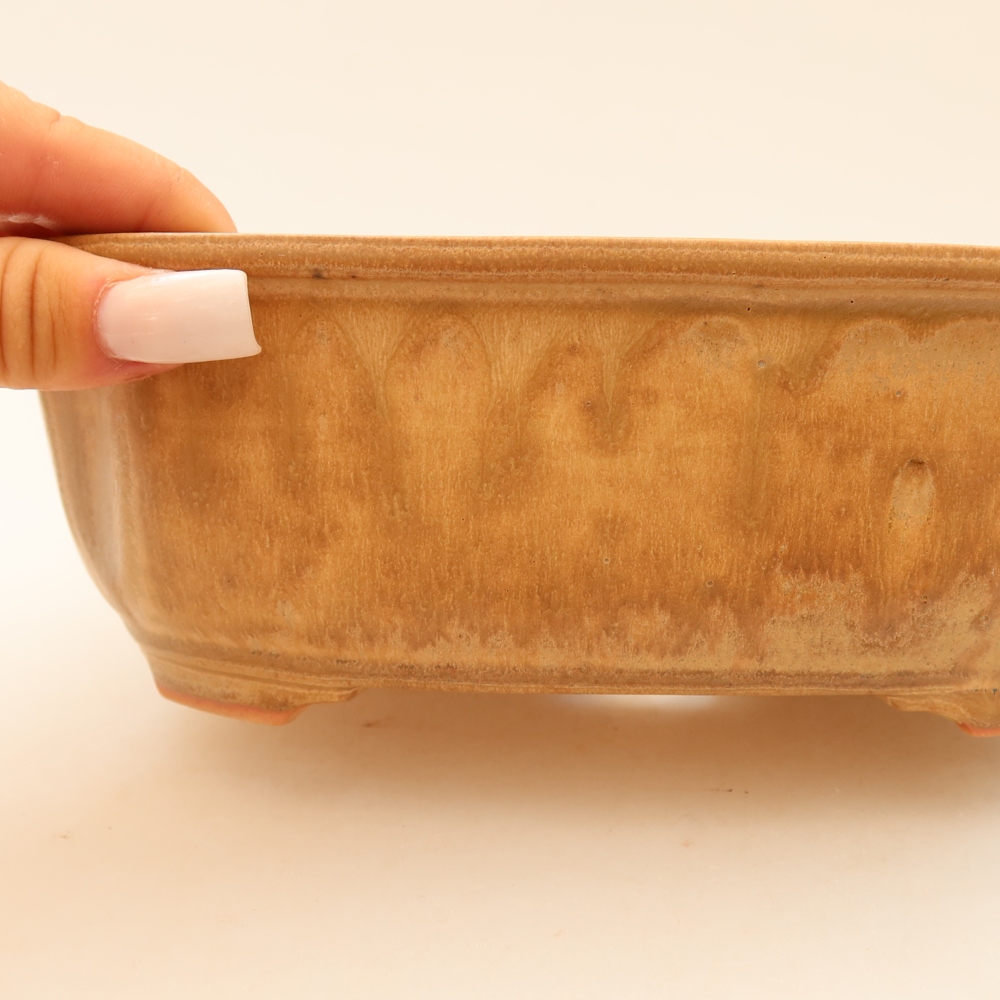 Ceramic bonsai pot, 22.5 x 17.5 x 7.5 cm, beige