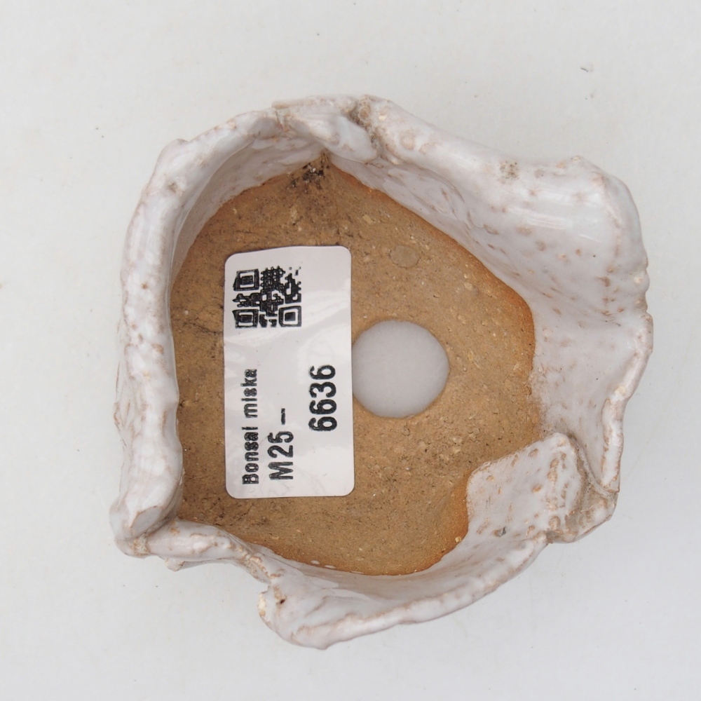 Ceramic Shell 8 x 7 x 4,5 cm , colour white