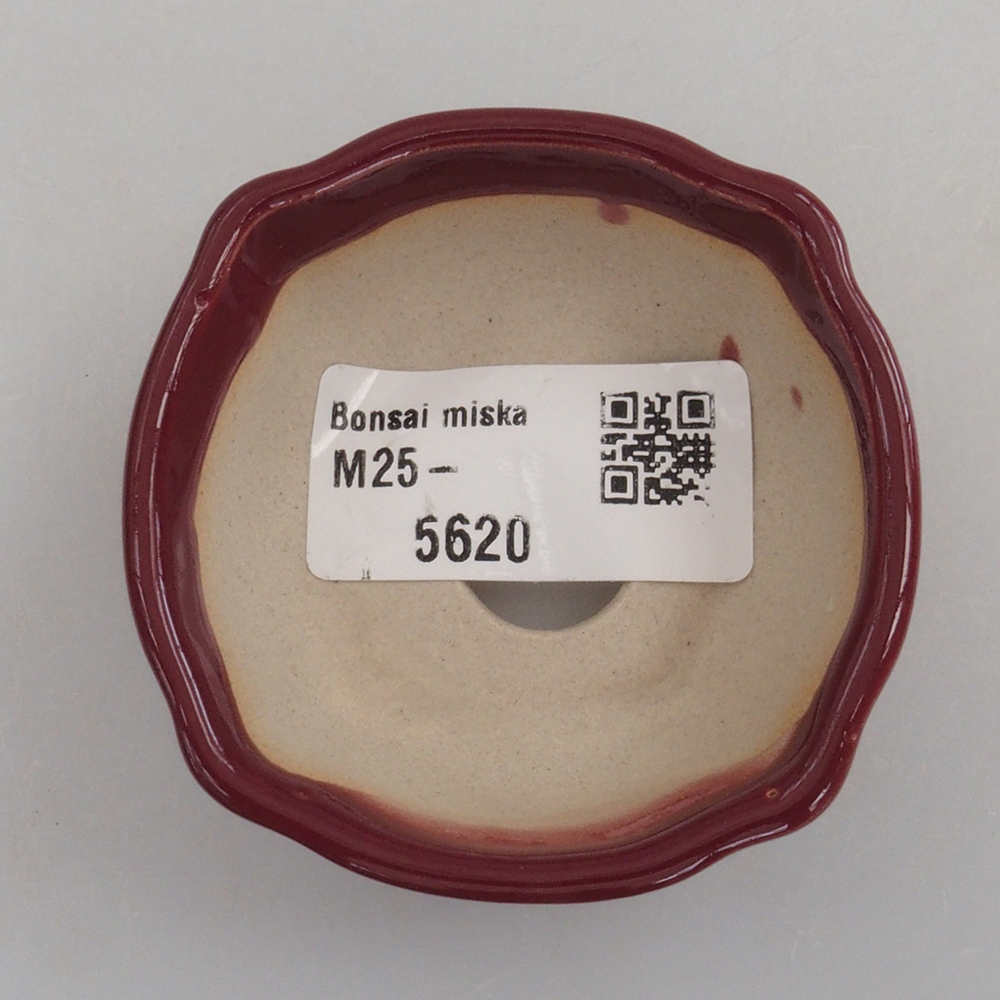 Mini bonsai bowl 6 x 6 x 2,5 cm, color burgundy