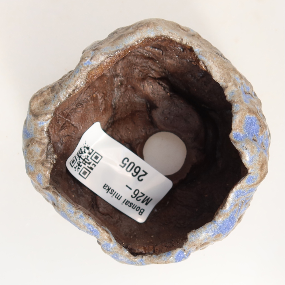 Ceramic Shell, 7 x 7 x 5 cm, blue-brown
