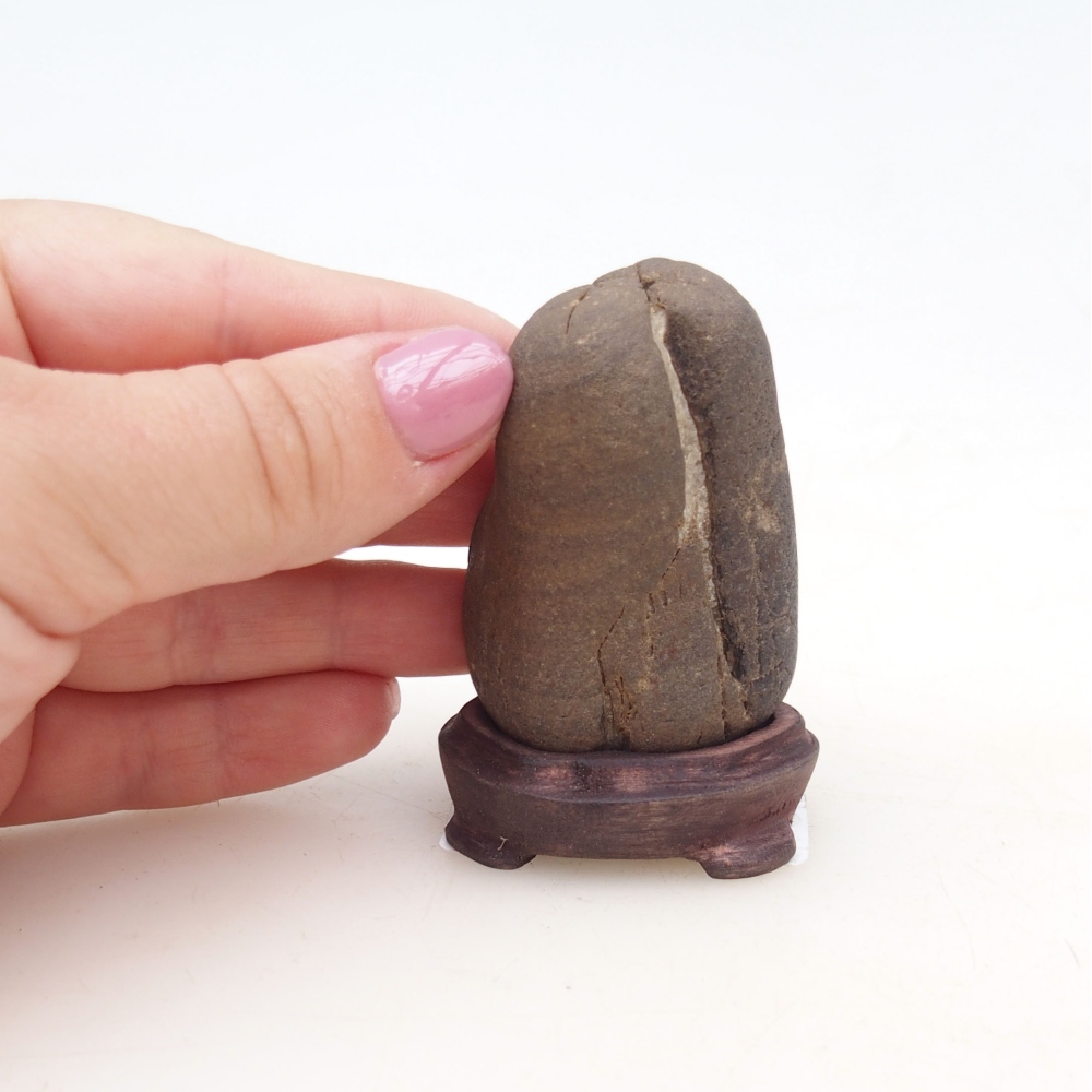 Suiseki - Stone with DAI (wooden pad)