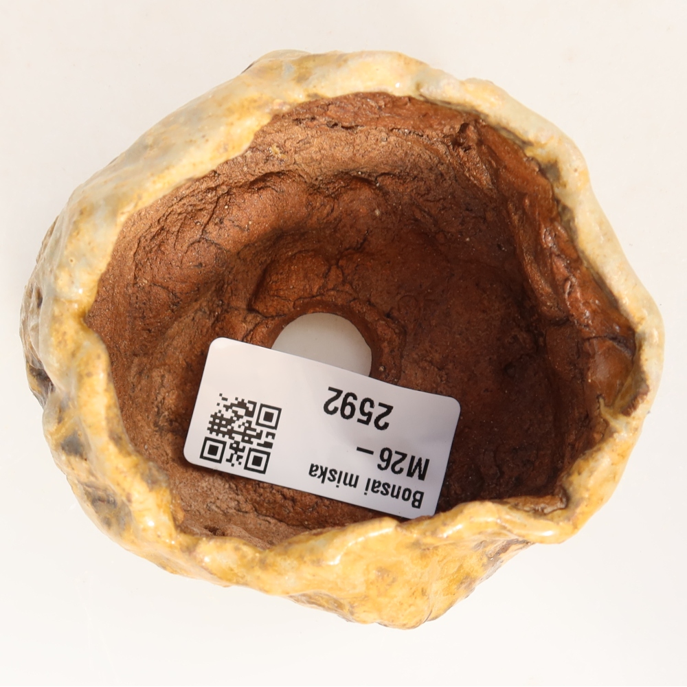 Ceramic Shell, 7.5 x 7 x 6 cm, brown