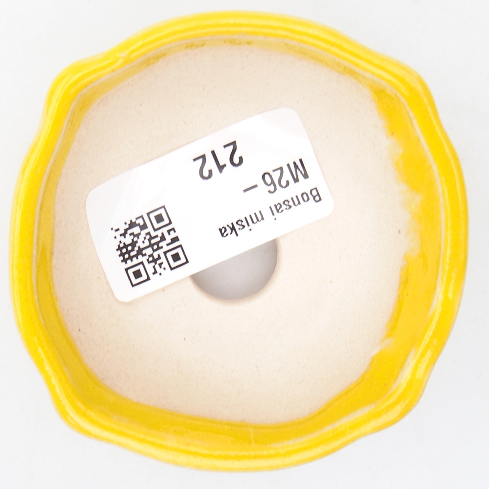 Mini bonsai bowl 6,5 x 6,5 x 2,5 cm, yellow