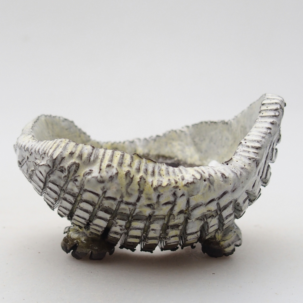 Ceramic Shell 8,5 x 8,5 x 5 cm , colour white