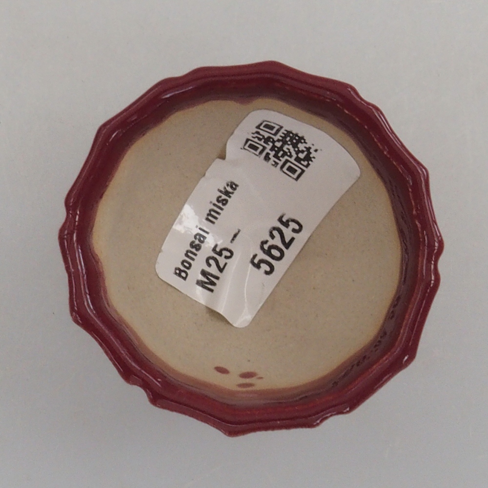 Mini bonsai bowl 5 x 5 x 3 cm, color burgundy
