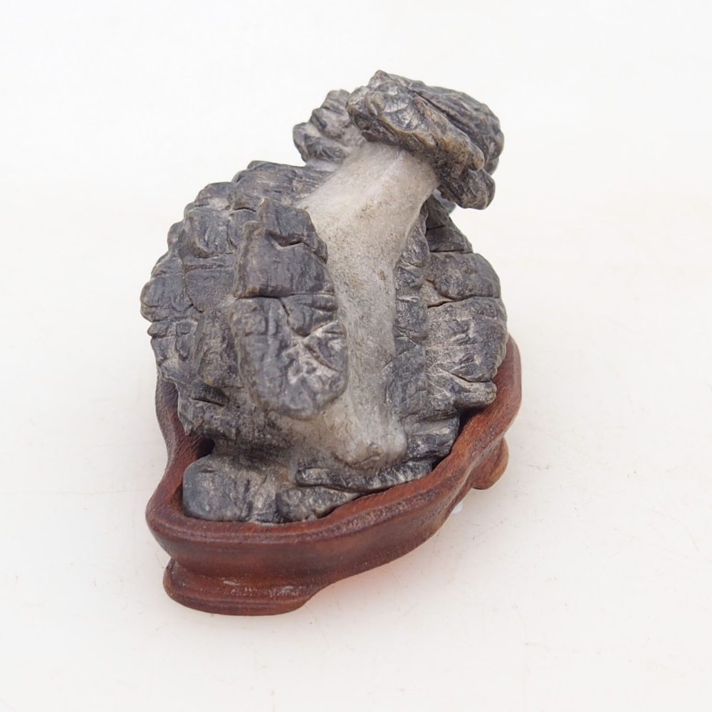 Suiseki - Stone with DAI (wooden pad)