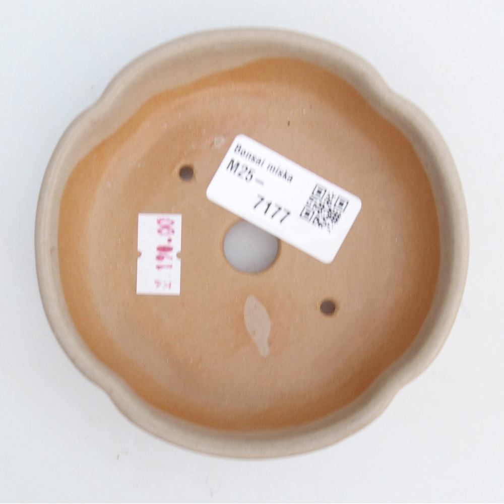 Ceramic bonsai bowl 11 x 11 x 3 cm, colour beige