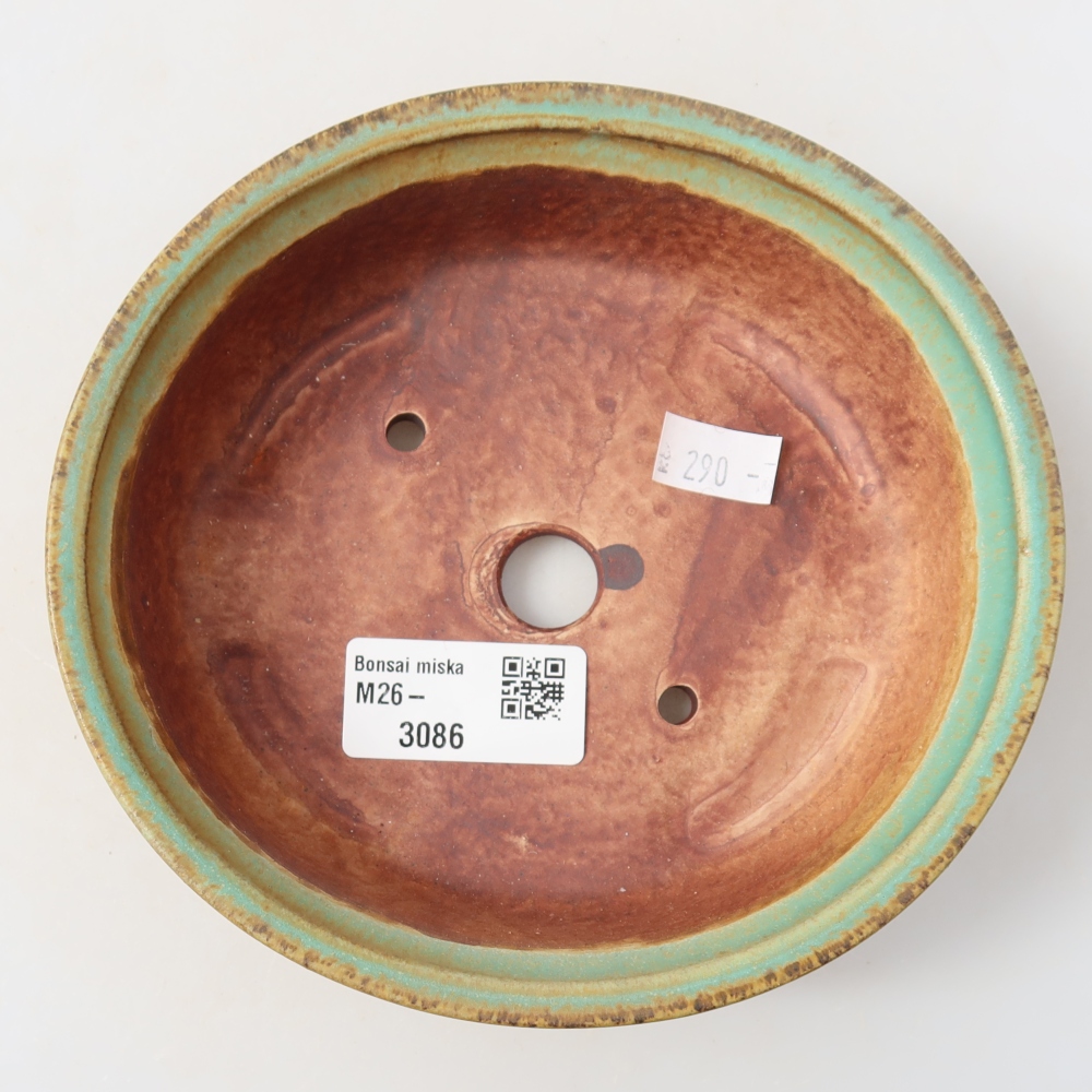 Ceramic bonsai pot, 15.5 x 14.5 x 4 cm, green