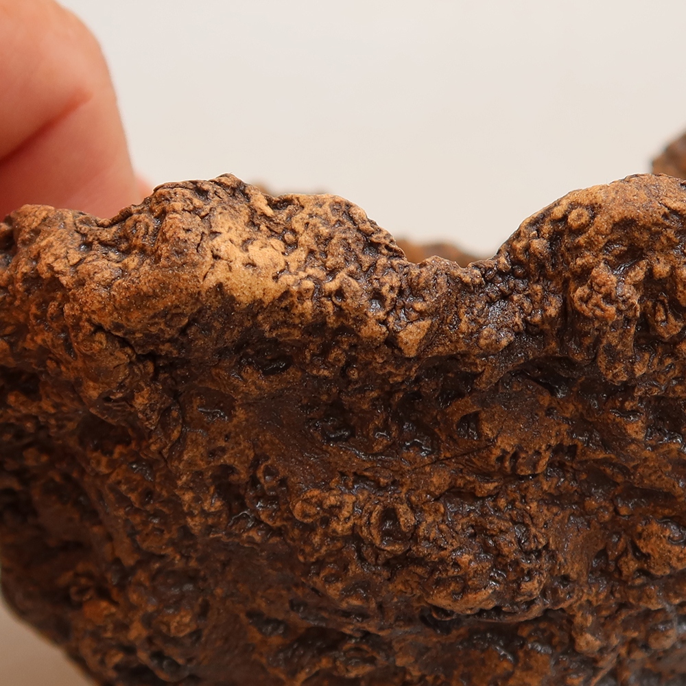 Ceramic Shell, 9 x 9 x 8.5 cm, brown