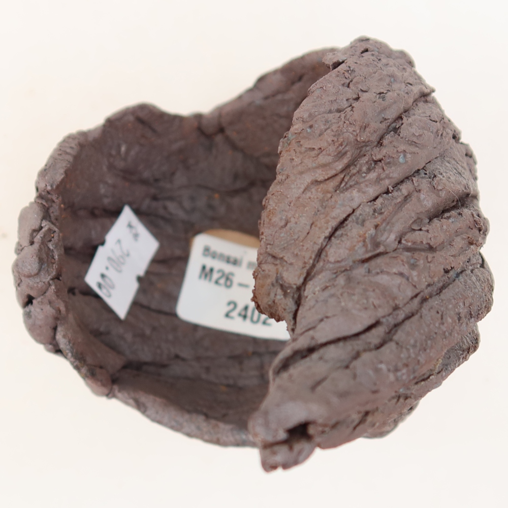 Ceramic Shell, 7.5 x 7 x 11.5 cm, brown