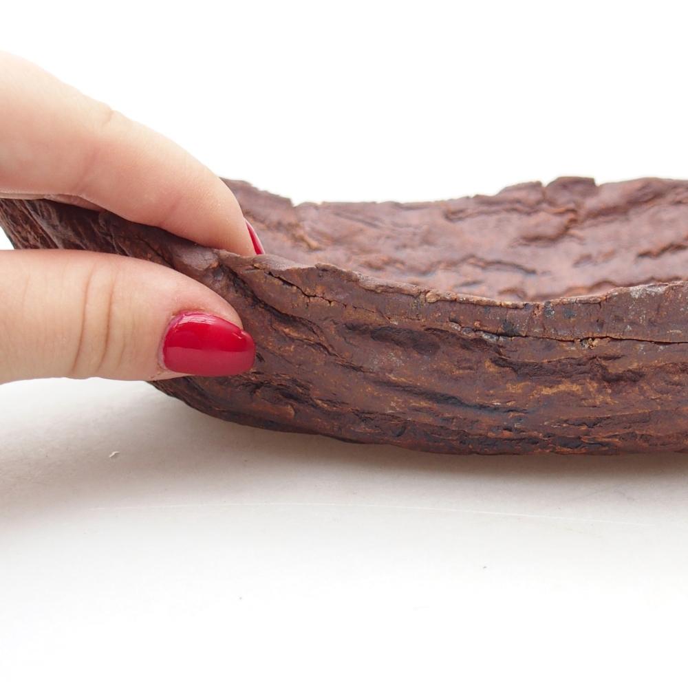 Ceramic Shell 27 x 19 x 7 cm , colour brown