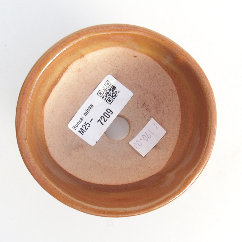 Ceramic bonsai bowl 10 x 10 x 5 cm, brown