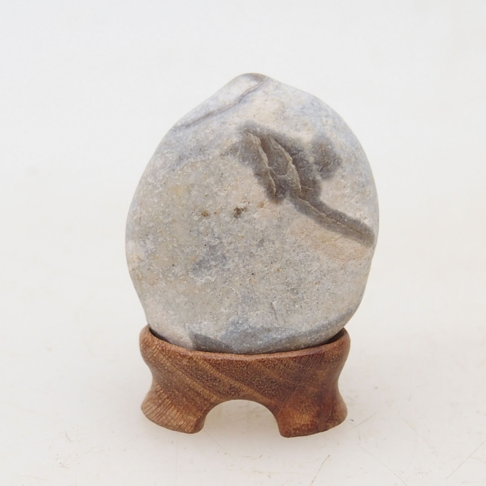 Suiseki - Stone with DAI (wooden pad)