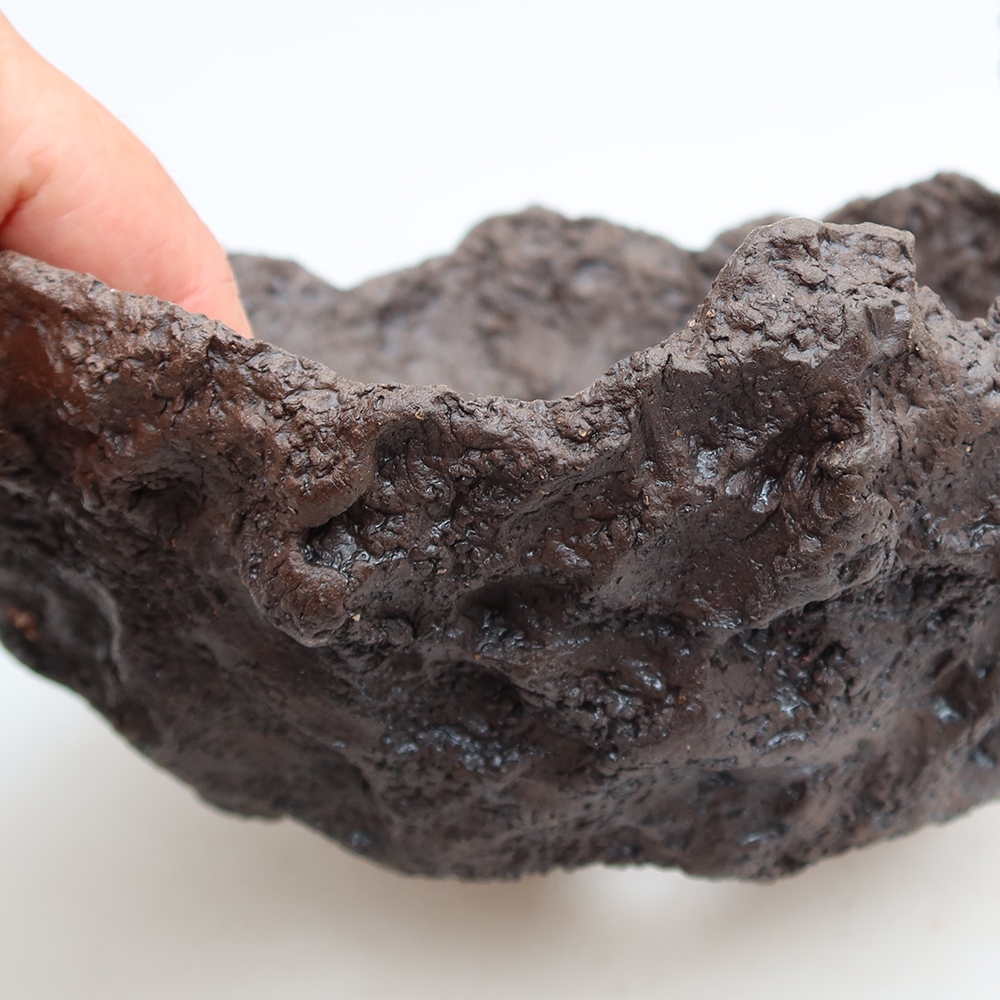 Ceramic Shell, 20 x 16 x 13 cm, brown