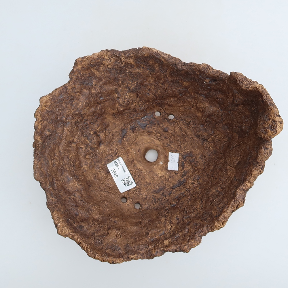 Ceramic Shell, 21 x 20.5 x 16 cm, brown