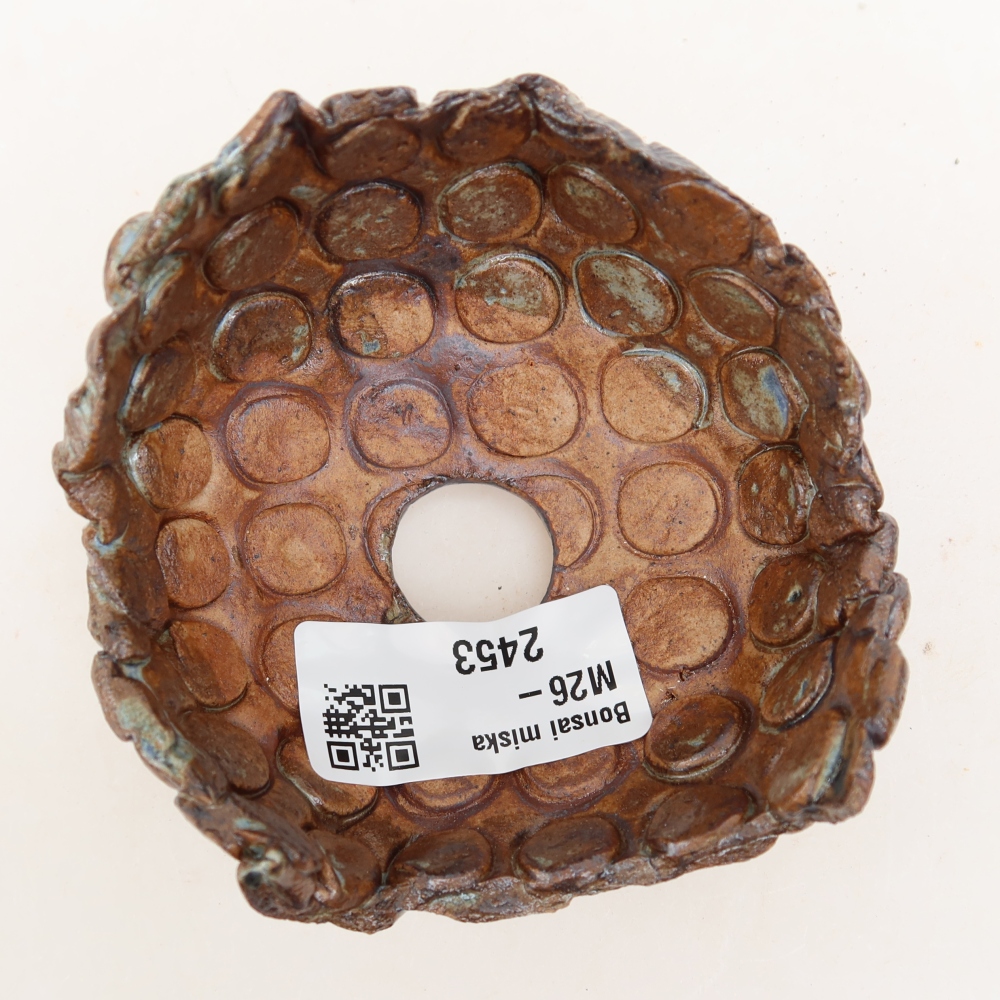 Ceramic Shell  8.5 x 8.5 x 6 cm, brownish-green