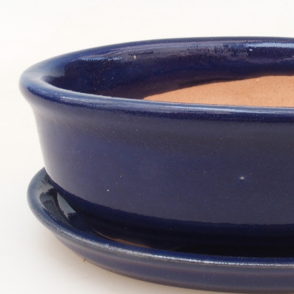 Bonsai bowl + saucer H04 - blue