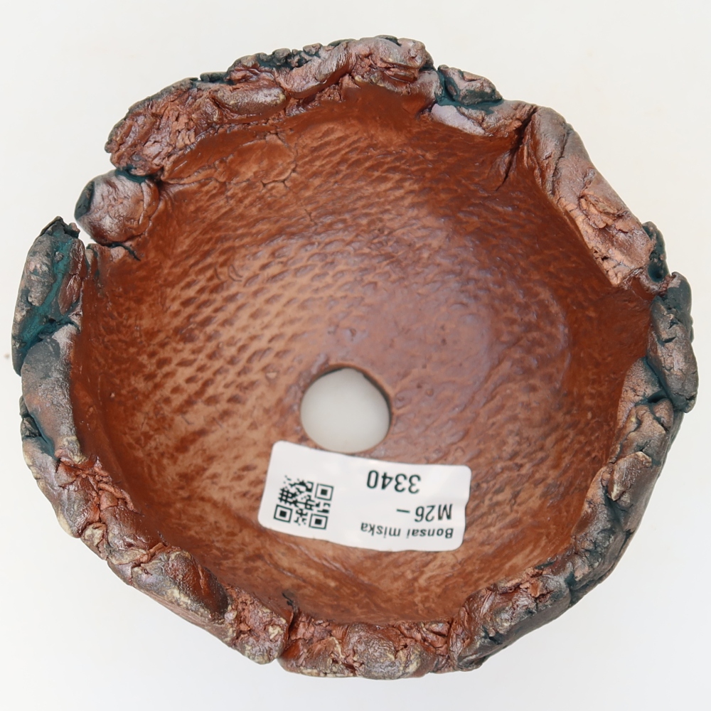 Ceramic Shell  11 x 10.5 x 8 cm, green