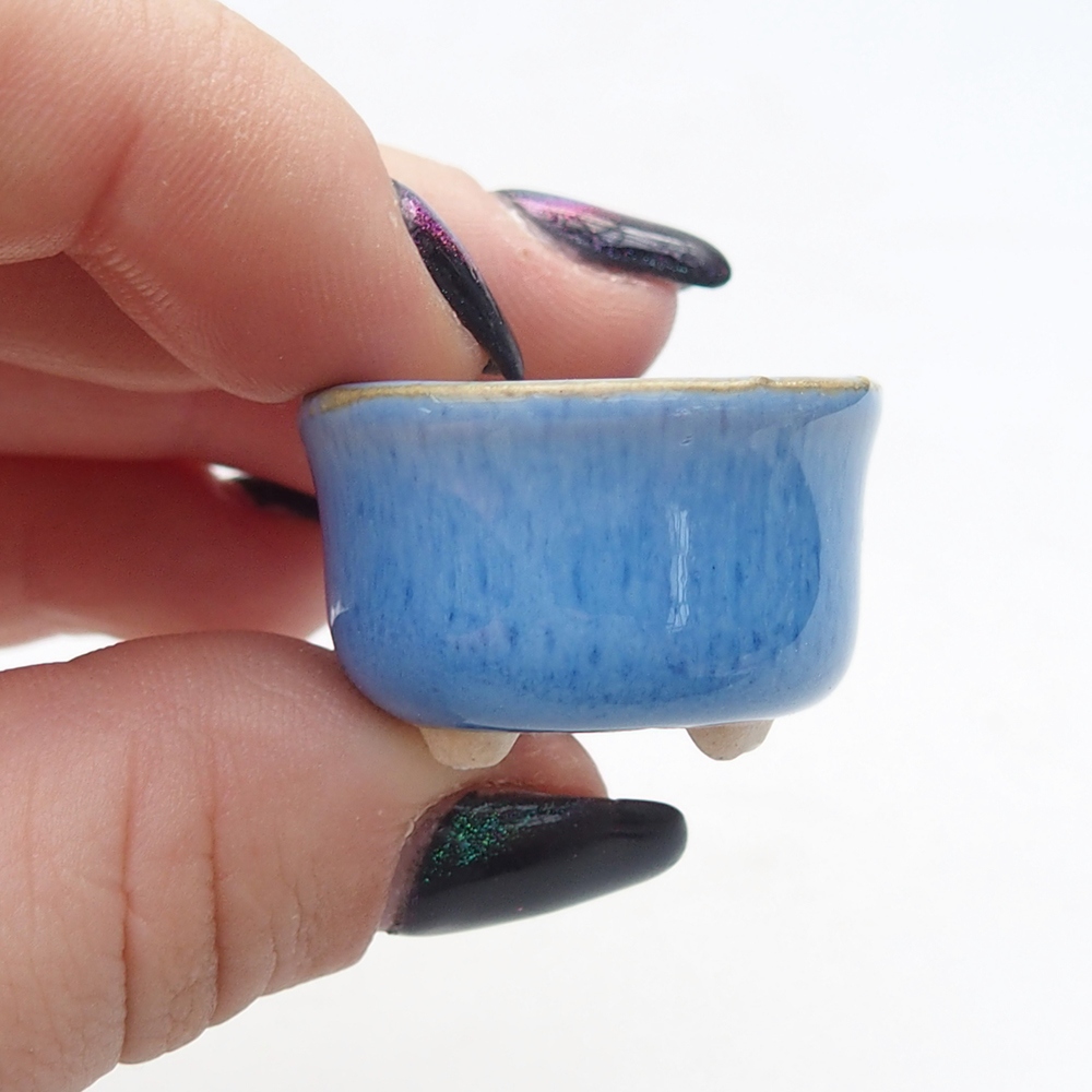 Mini bonsai bowl 3 x 3 x 2 cm, blue