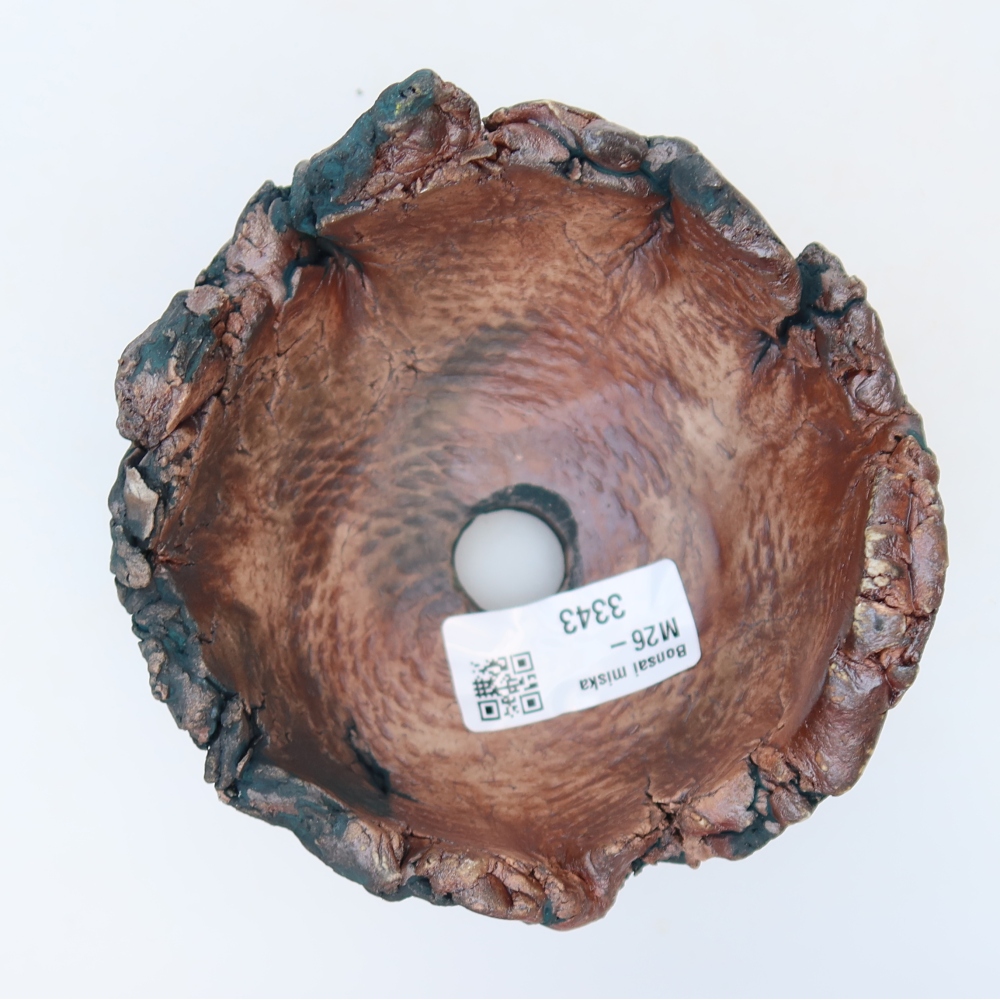 Ceramic Shell  11 x 11 x 7.5 cm, green