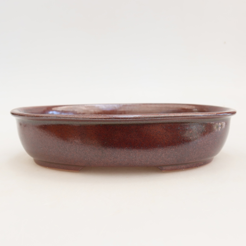 Ceramic bonsai pot, 22 x 17 x 5 cm, burgundy