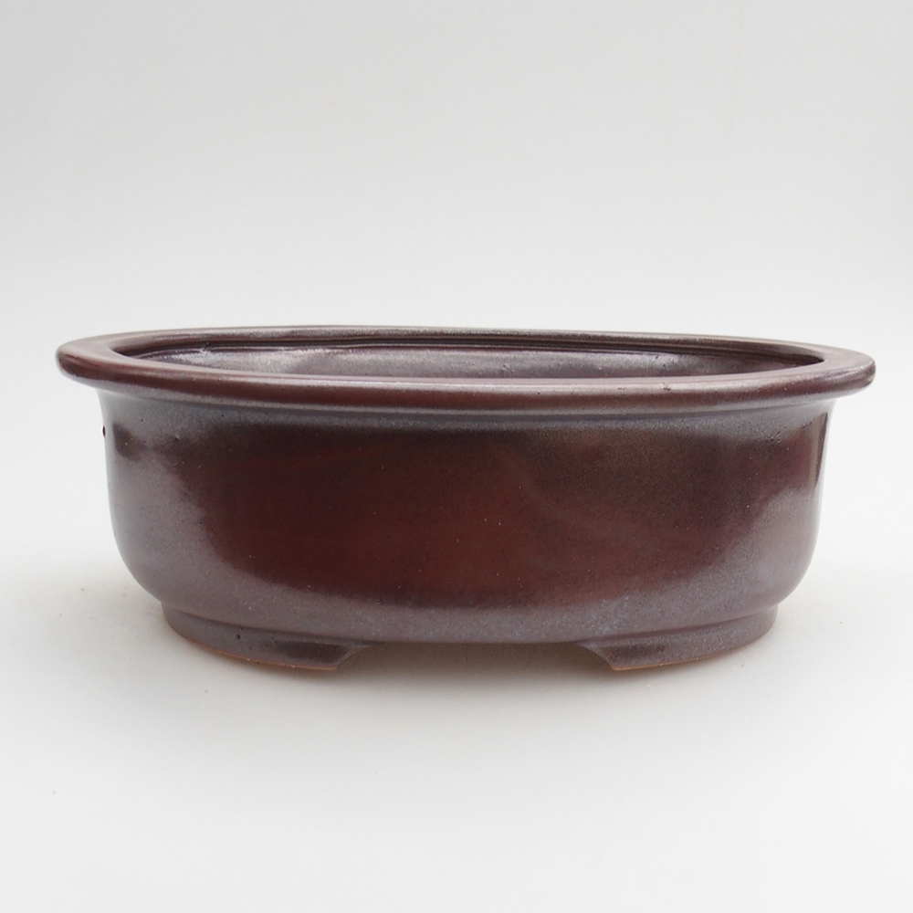 Ceramic bonsai bowl 23 x 19 x 7 cm, burgundy