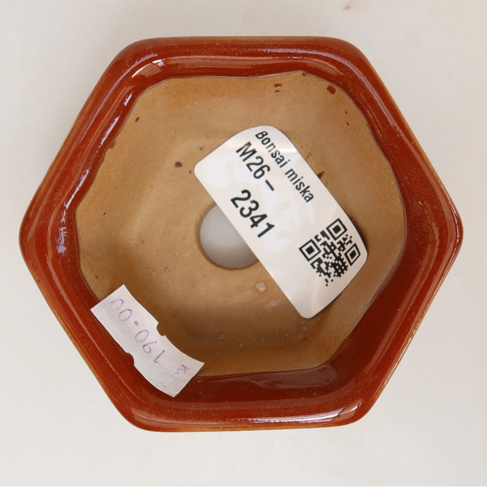 Ceramic bonsai pot, 7.5 x 7 x 4 cm, brown