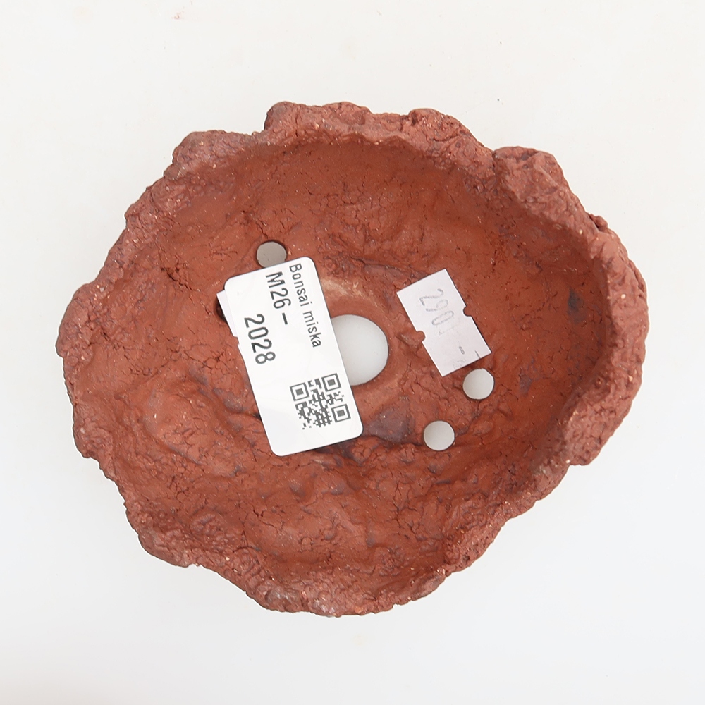 Ceramic Shell, 10 x 8 x 7 cm, brown