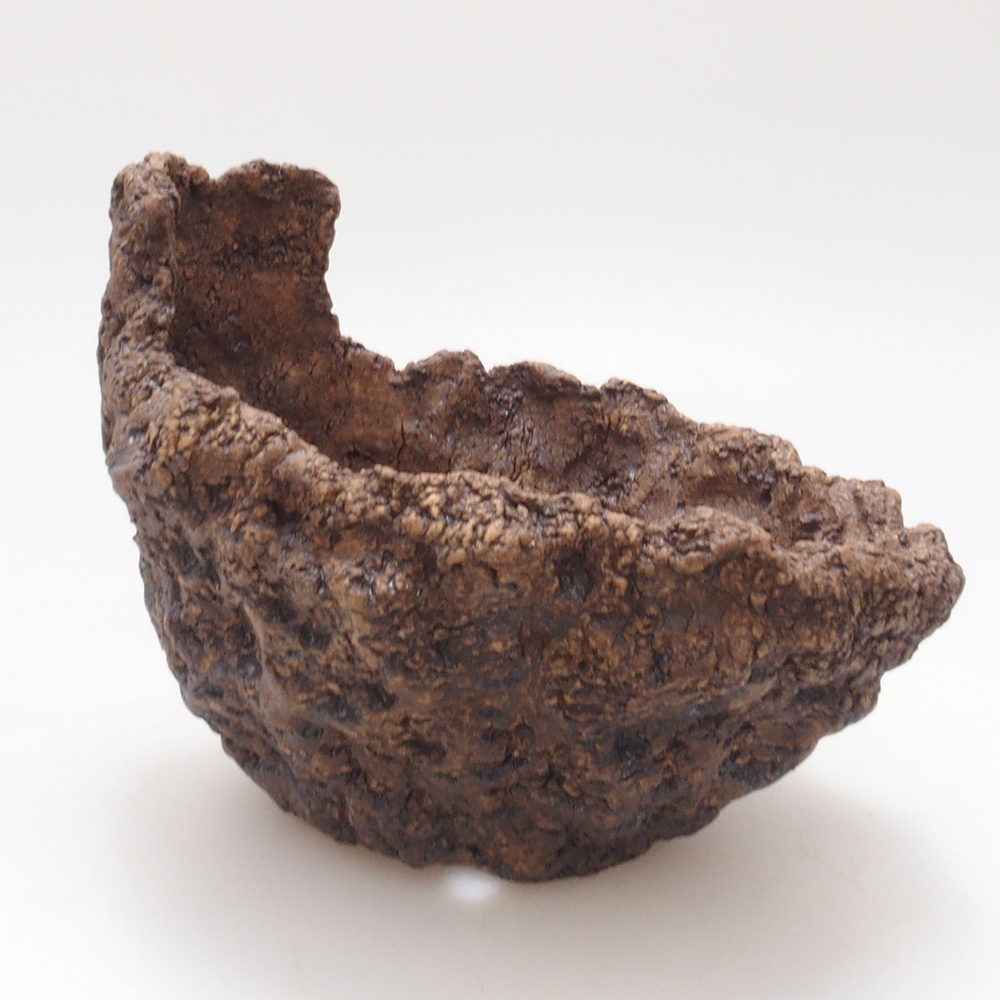 Ceramic shell 9 x 8 x 8,5 cm, brown color