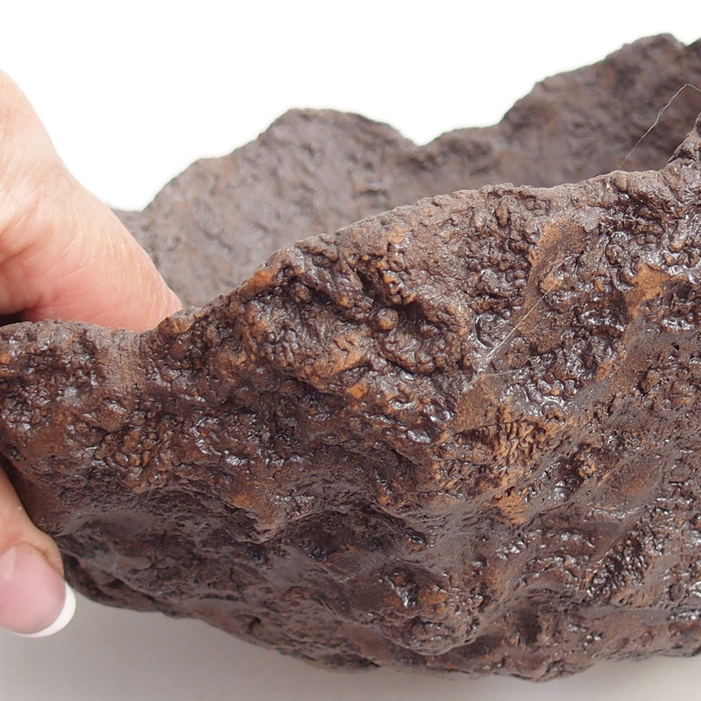 Ceramic shell 19 x 15 x 14 cm , colour brown