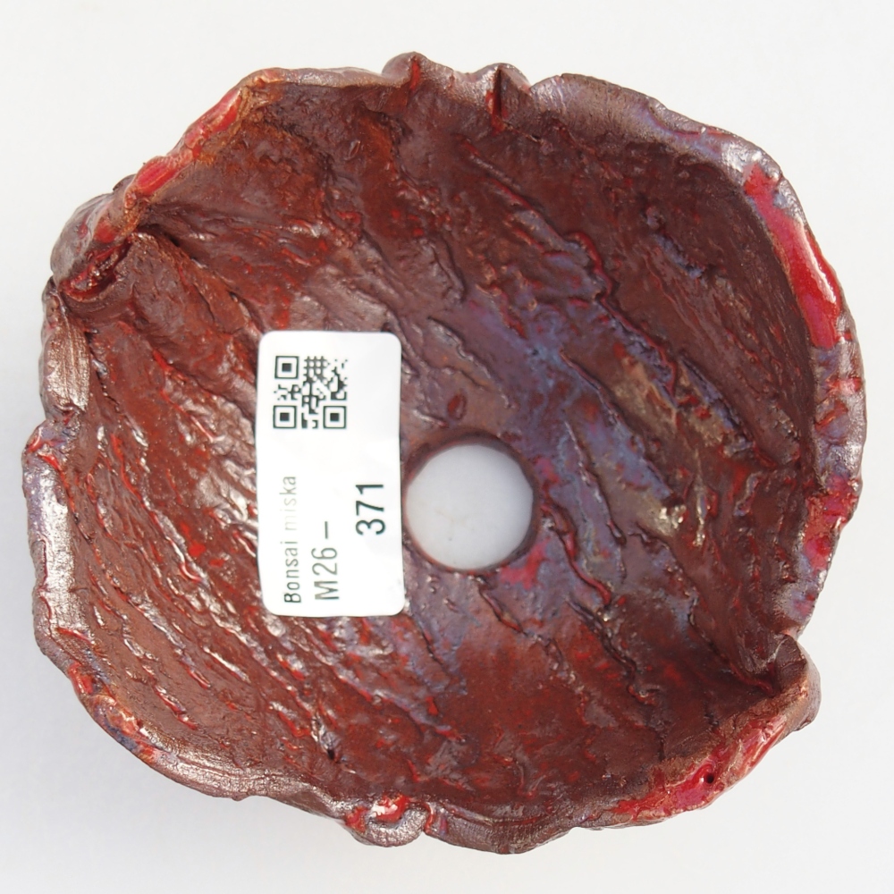 Ceramic Shell 10 x 9,5 x 6 cm , colour brown