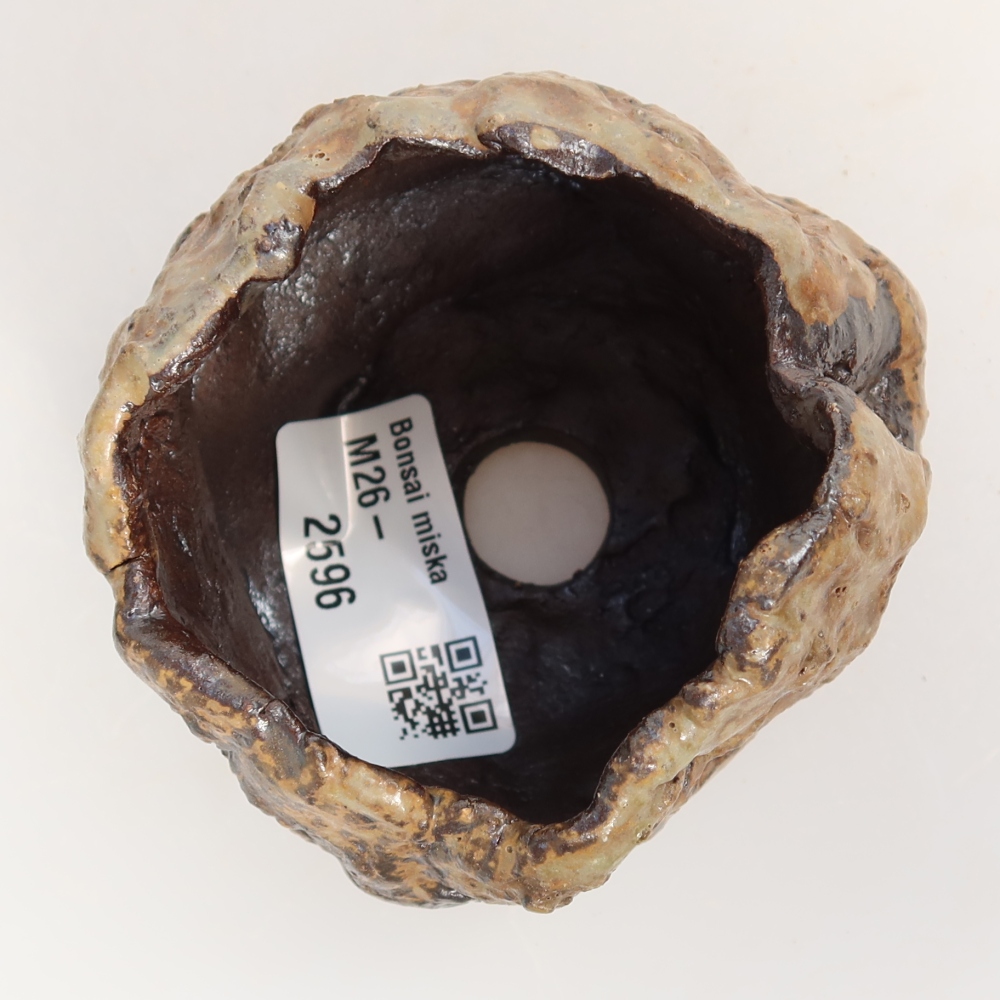 Ceramic Shell, 7.5 x 6.5 x 6 cm, brown