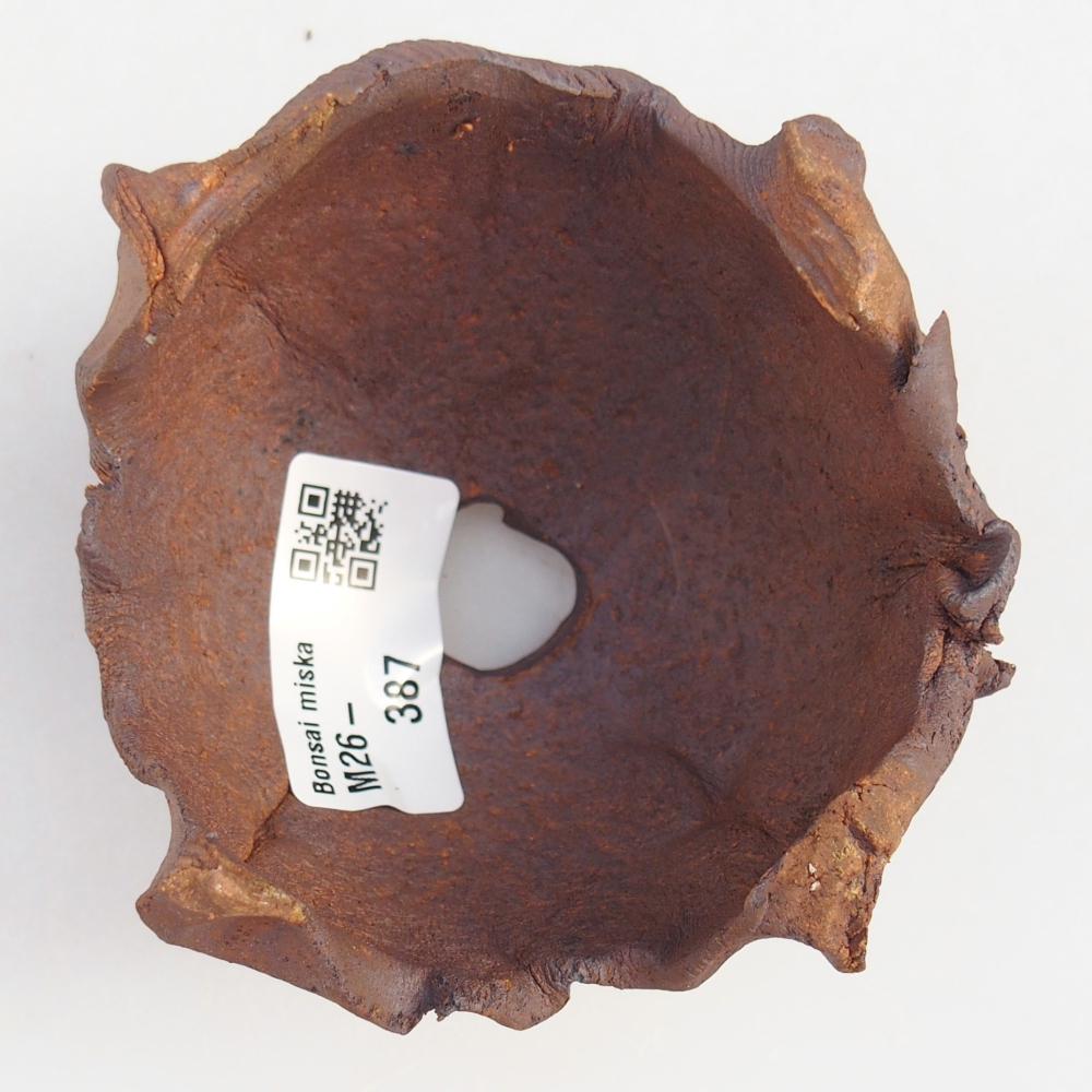 Ceramic Shell 9 x 9 x 6,5 cm , colour brown