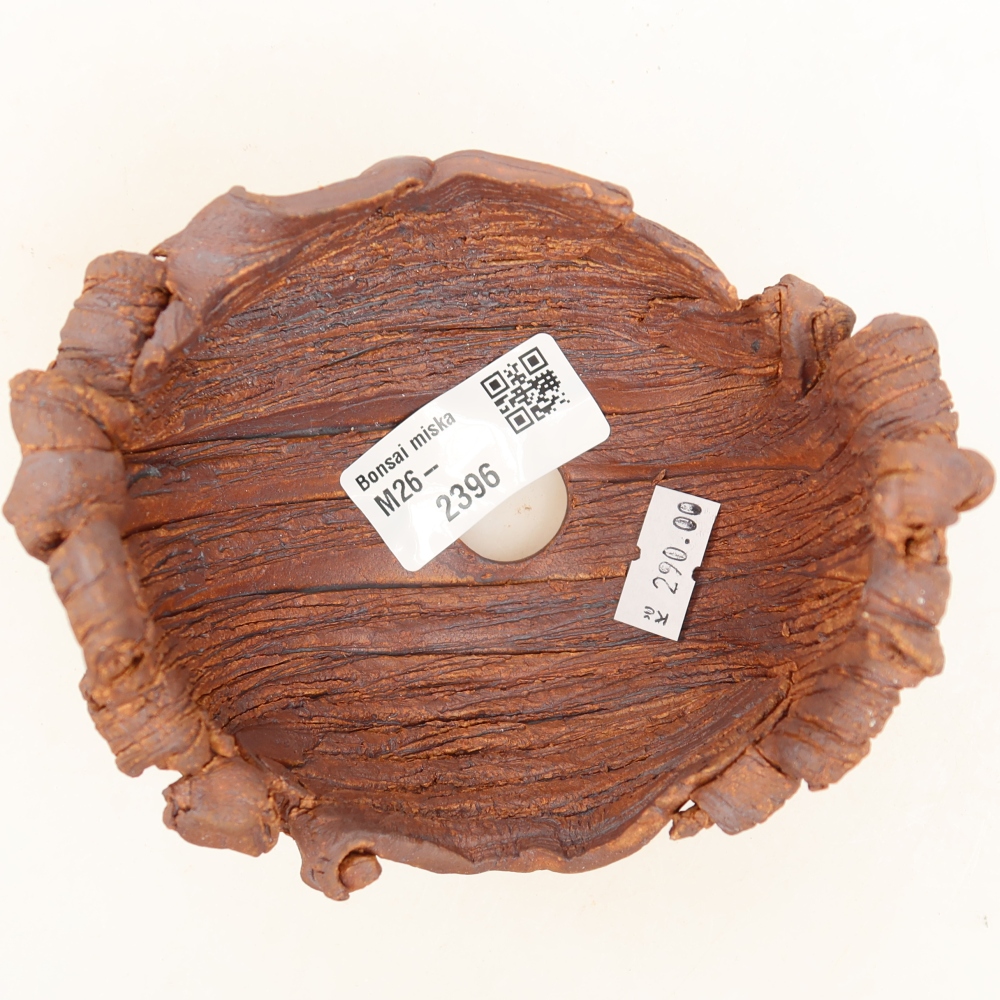 Ceramic Shell  11.5 x 10 x 8 cm, brown