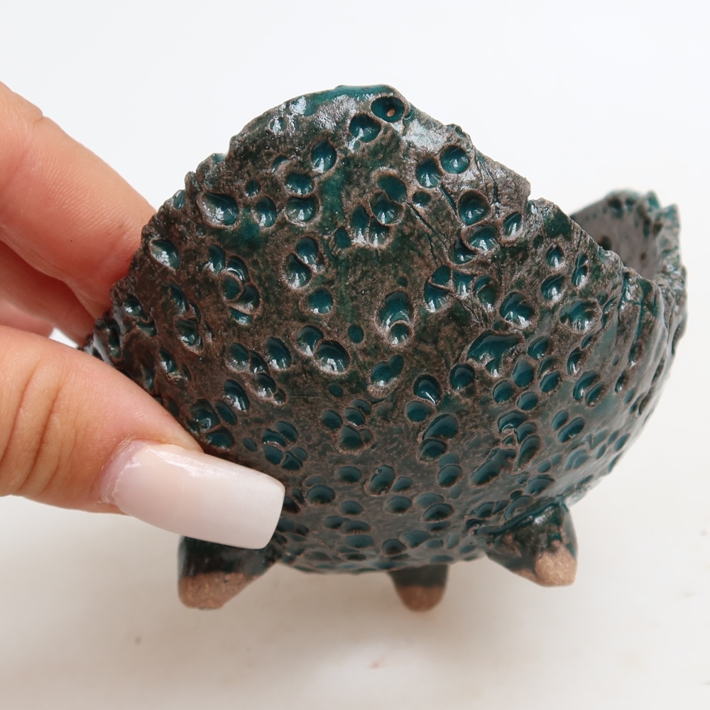 Ceramic Shell  10 x 9.5 x 6.5 cm, green