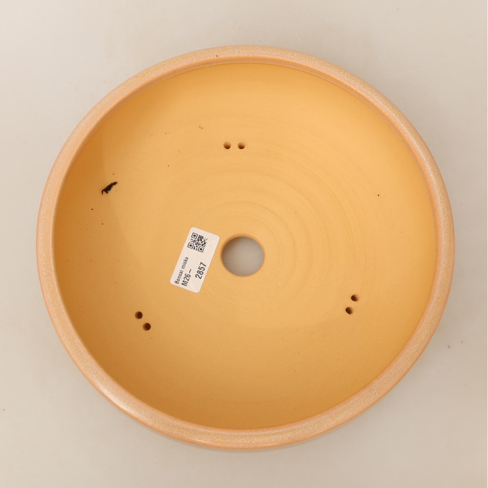 Ceramic bonsai pot, 23 x 23 x 7 cm, beige