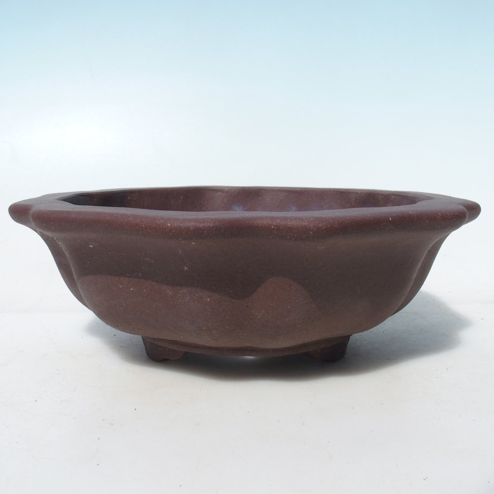 Bonsai bowl 28 x 28 x 9,5 cm birch brown