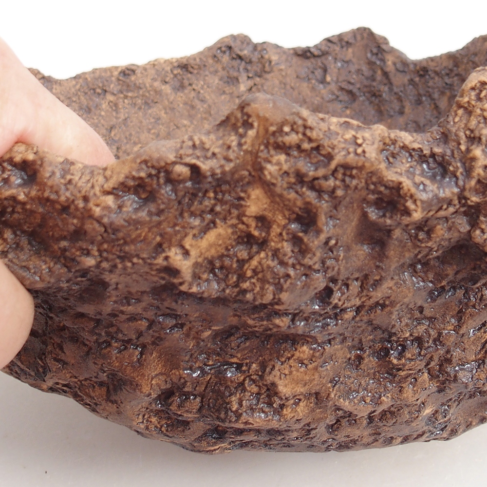 Ceramic shell 19 x 15 x 14 cm , colour brown