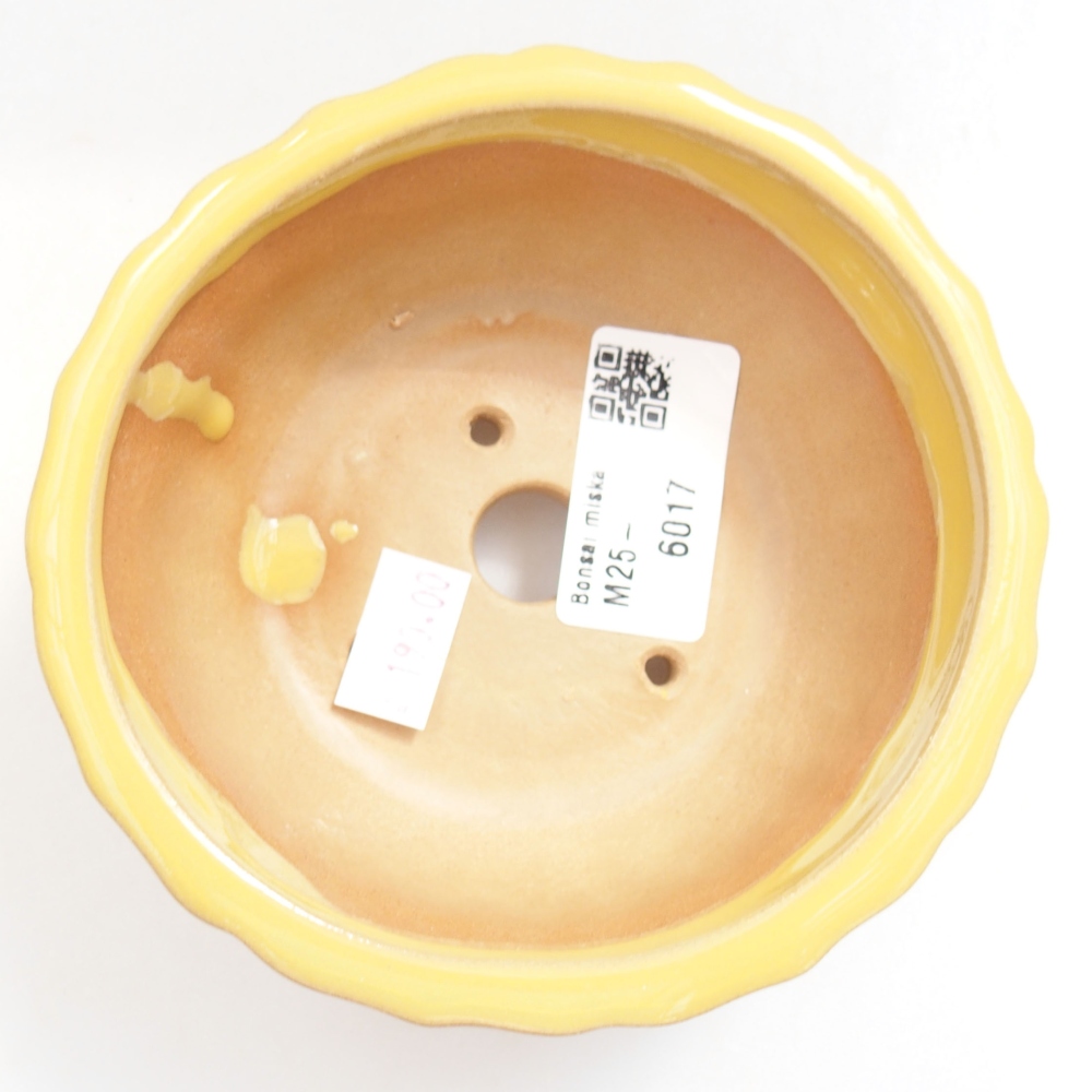 Ceramic bonsai bowl 11,5 x 11,5 x 5 cm, color yellow