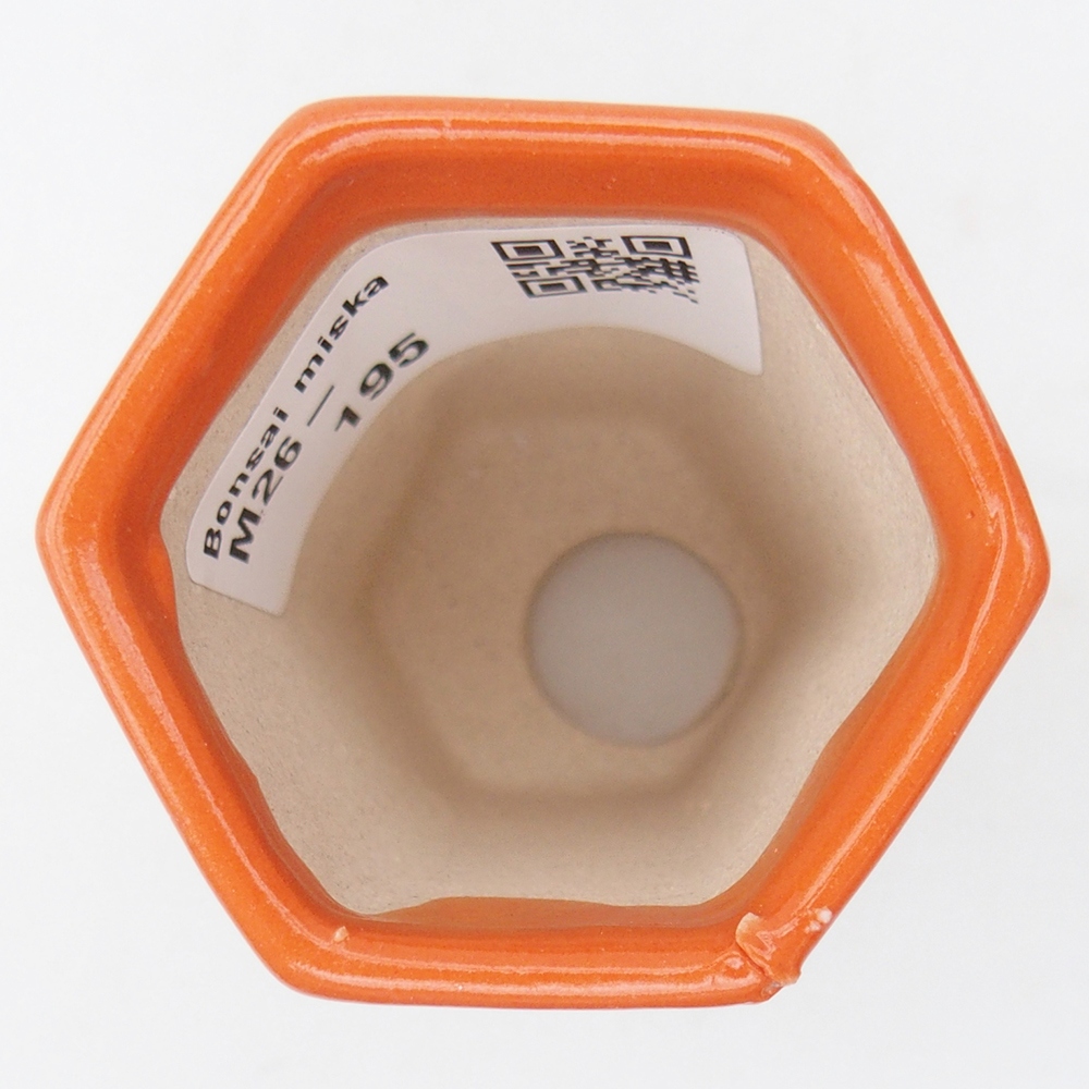 Mini bonsai bowl 5 x 4,5 x 6,5 cm, orange
