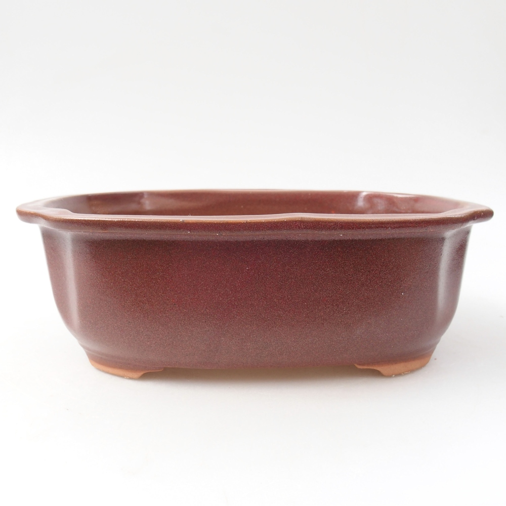 Ceramic bonsai bowl 22 x 18 x 7 cm, color burgundy