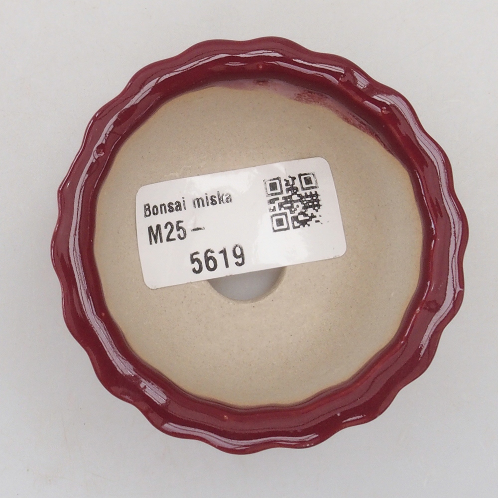 Mini bonsai bowl 6,5 x 6,5 x 3,5 cm, color burgundy