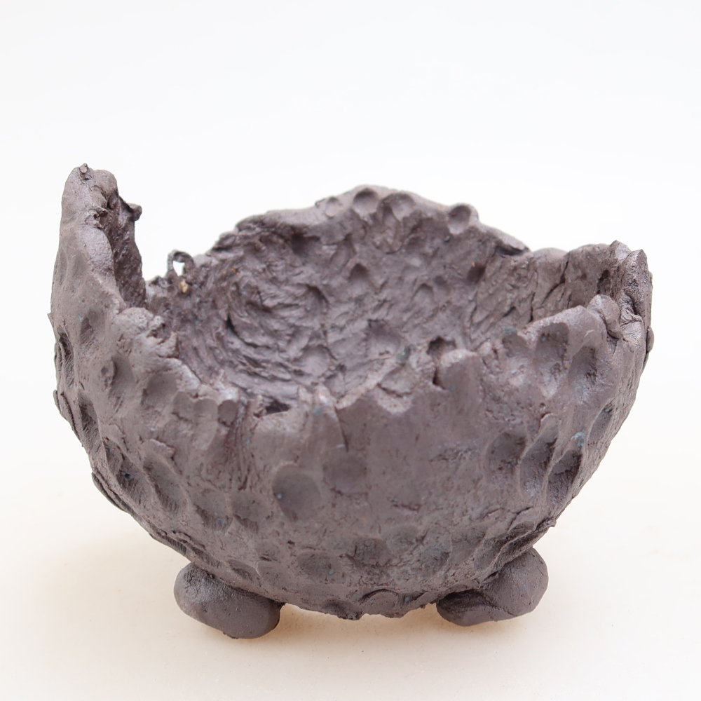 Ceramic Shell  10 x 9.5 x 7 cm, metallic color