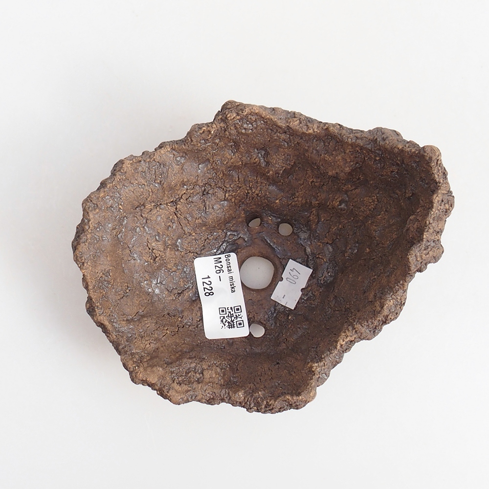 Ceramic Shell 13 x 11 x 11 cm , colour brown