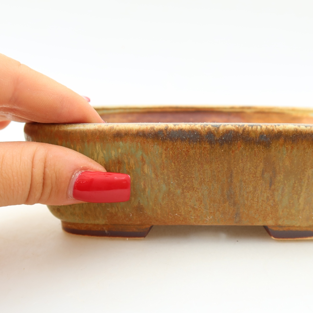 Ceramic bonsai pot, 14 x 11.5 x 4.5 cm, green