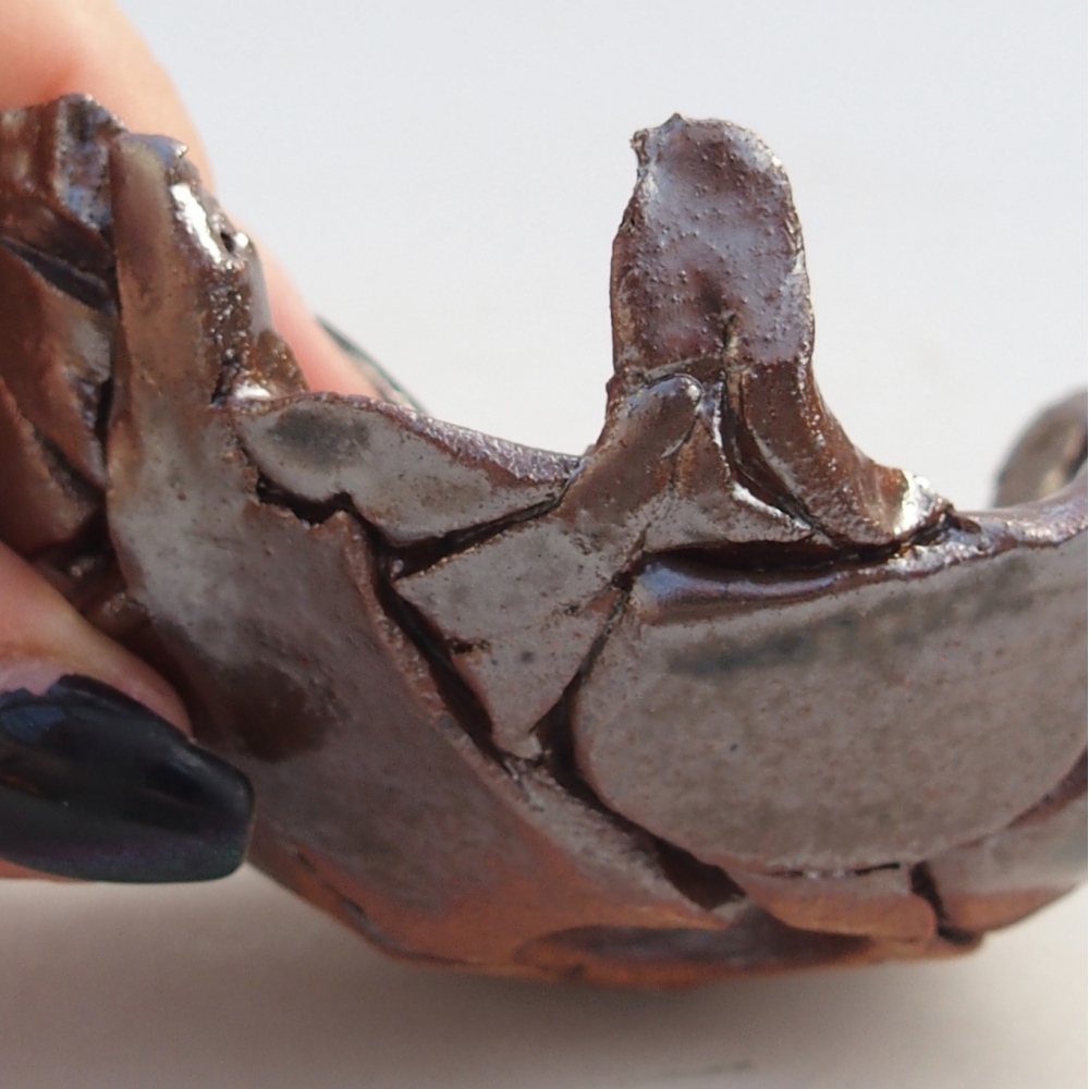 Ceramic Shell 9 x 8 x 5 cm , colour brown