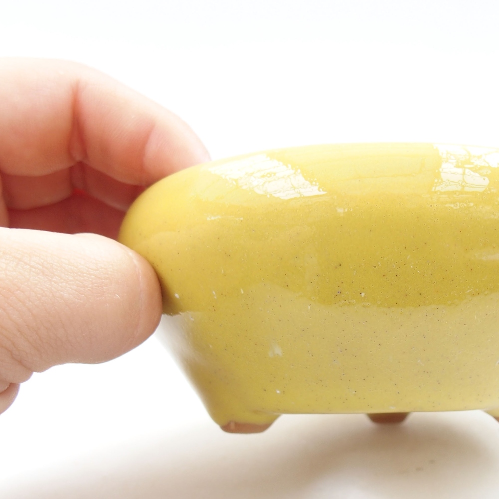 Ceramic bonsai bowl 11 x 11 x 5 cm, color yellow