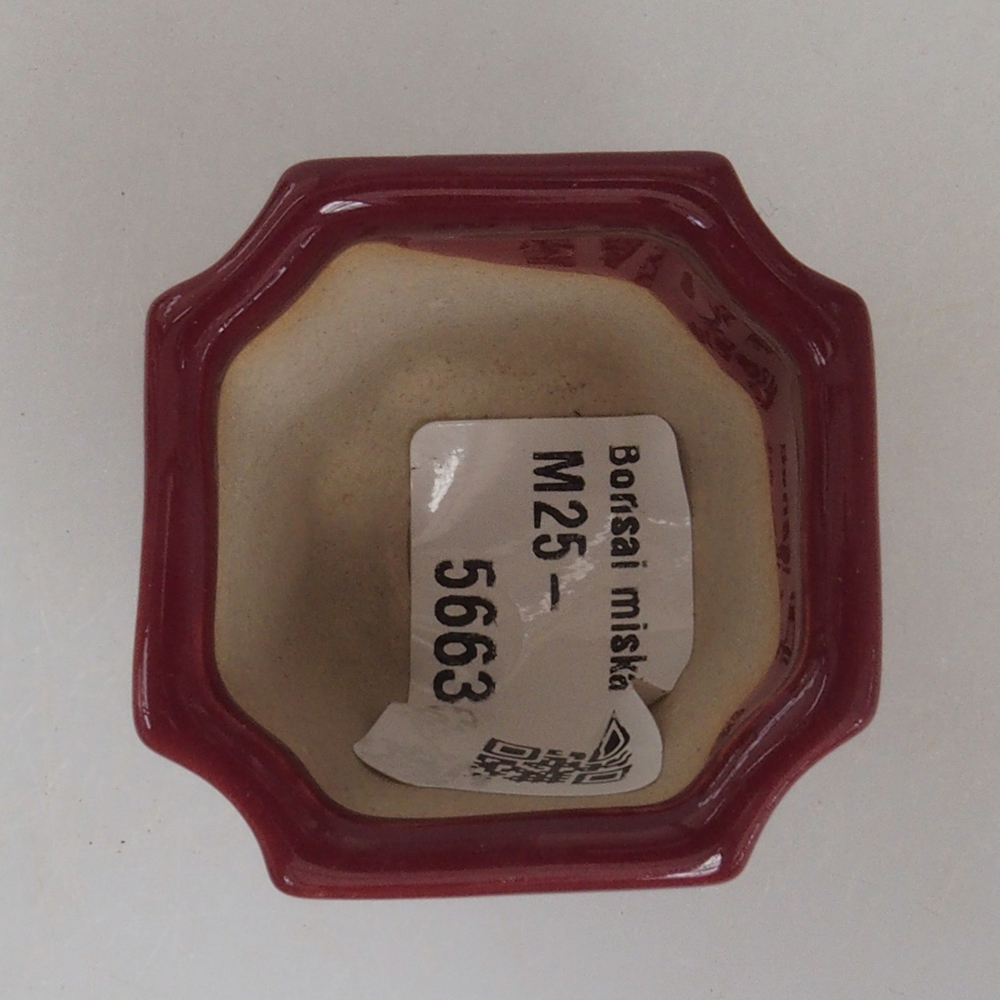 Mini bonsai bowl 4 x 4 x 3,5 cm, color burgundy